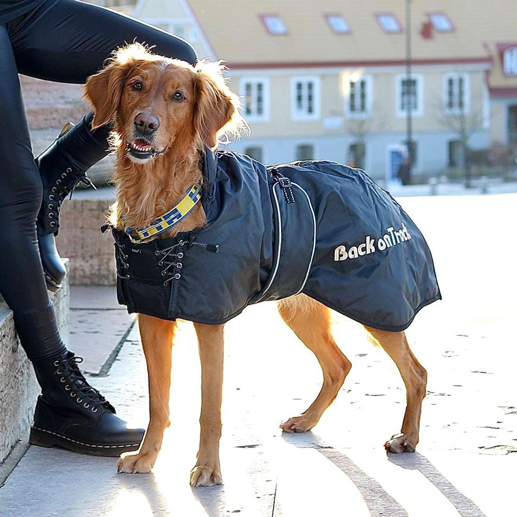 Back on Track Hunde Standardmantel