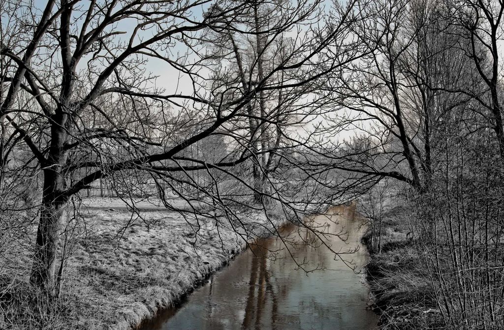 hansepuzzle 37347 - Winterlandschaft Puzzle, 500 Teile, Natur, 46,0 x 30,0cm mit hochwertiger Aufbewahrung, Kartonbox & Beutel