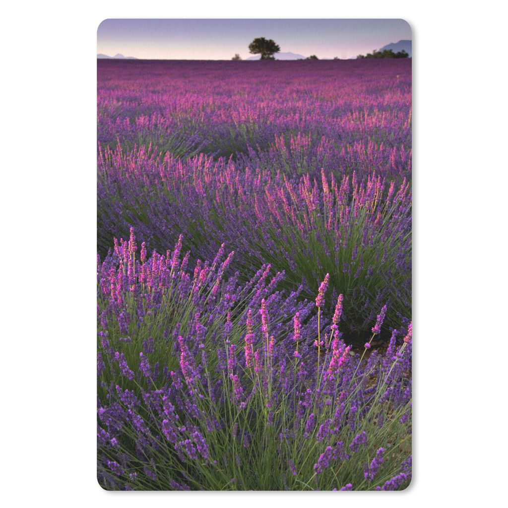 MuchoWow Mauspad Mousepad Die Lavendelregion im französischen Mutterland 40x60 cm - Mousepads - Maus Mat - Pad - Mausunterlage - Schreibtisch Ac...