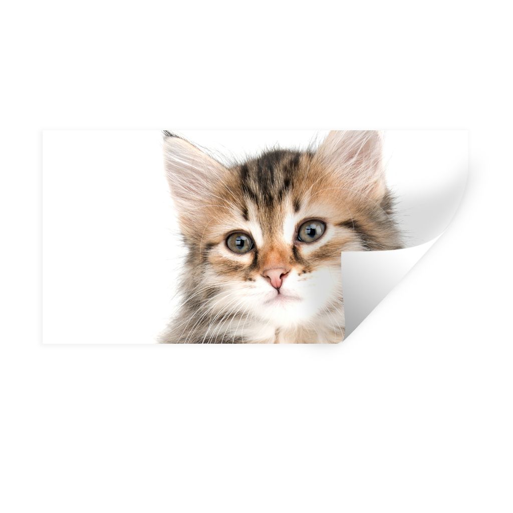 MuchoWow Wandtattoo Wandsticker Wandaufkleber Kätzchen - Weiß - Nase - Mädchen - Kinder - Jungen - Kinder 120x60 cm Selbstklebend und Repositi...