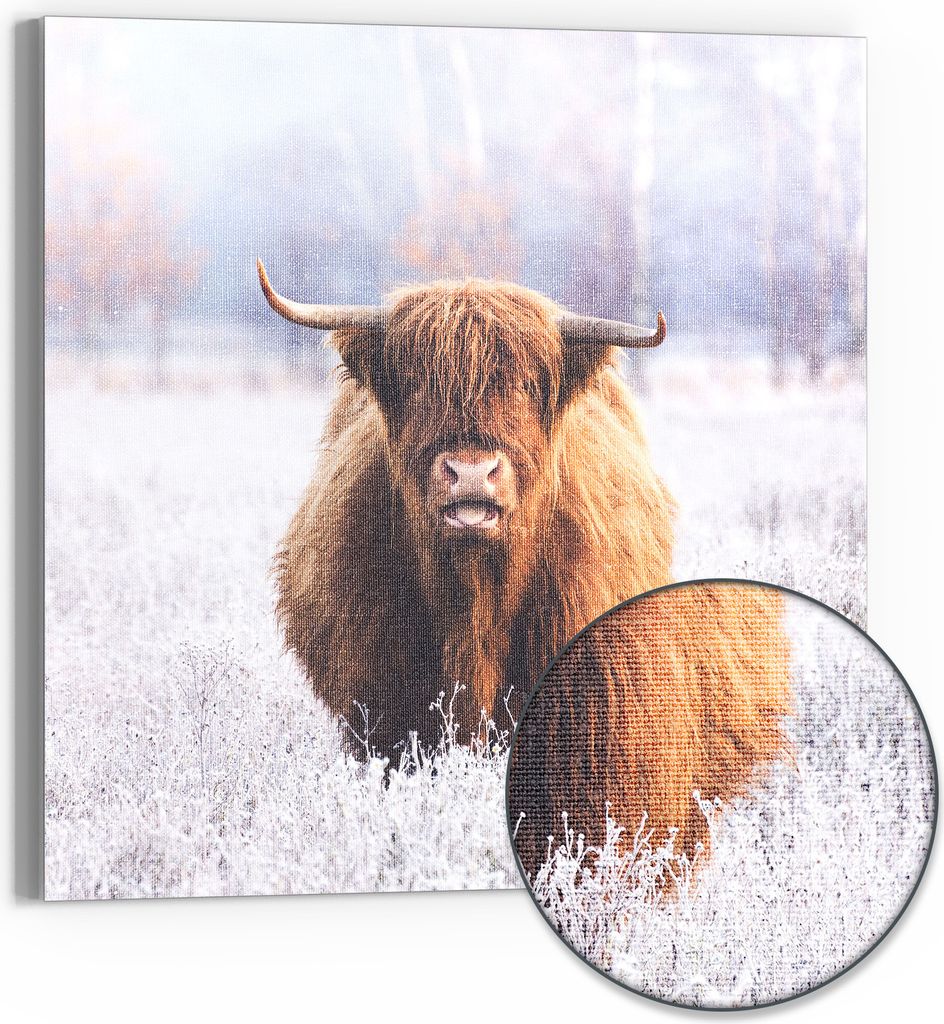 DEQORI Hybrid Leinwand Bild 50x50 cm 'Frostiger Hochlandblick' Wandbild Glas flach modern