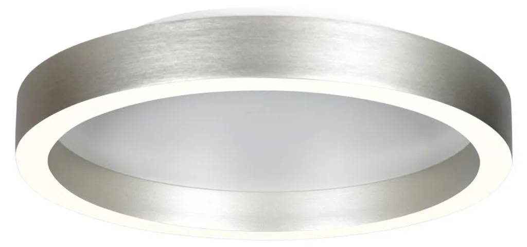 Plafonnier LED Ringlux Steinhauer Acier : Éclairage Puissant pour Plafond
