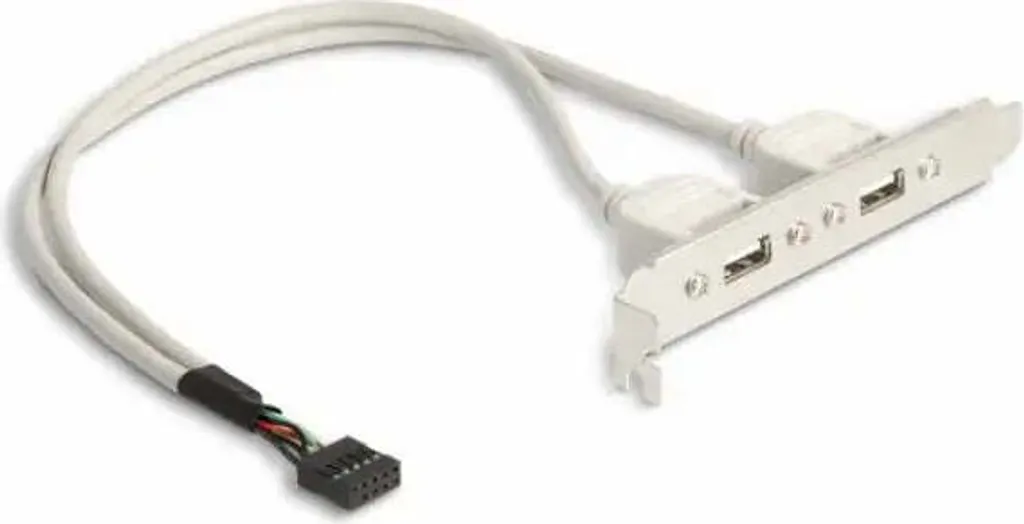 Delock Slotbracket 2x USB A: Espansione Posteriore per PC Desktop - 2