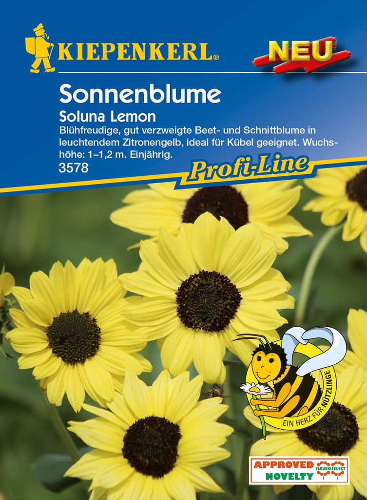 Sonnenblume Soluna Lemon | Sonnenblumensamen von Kiepenkerl