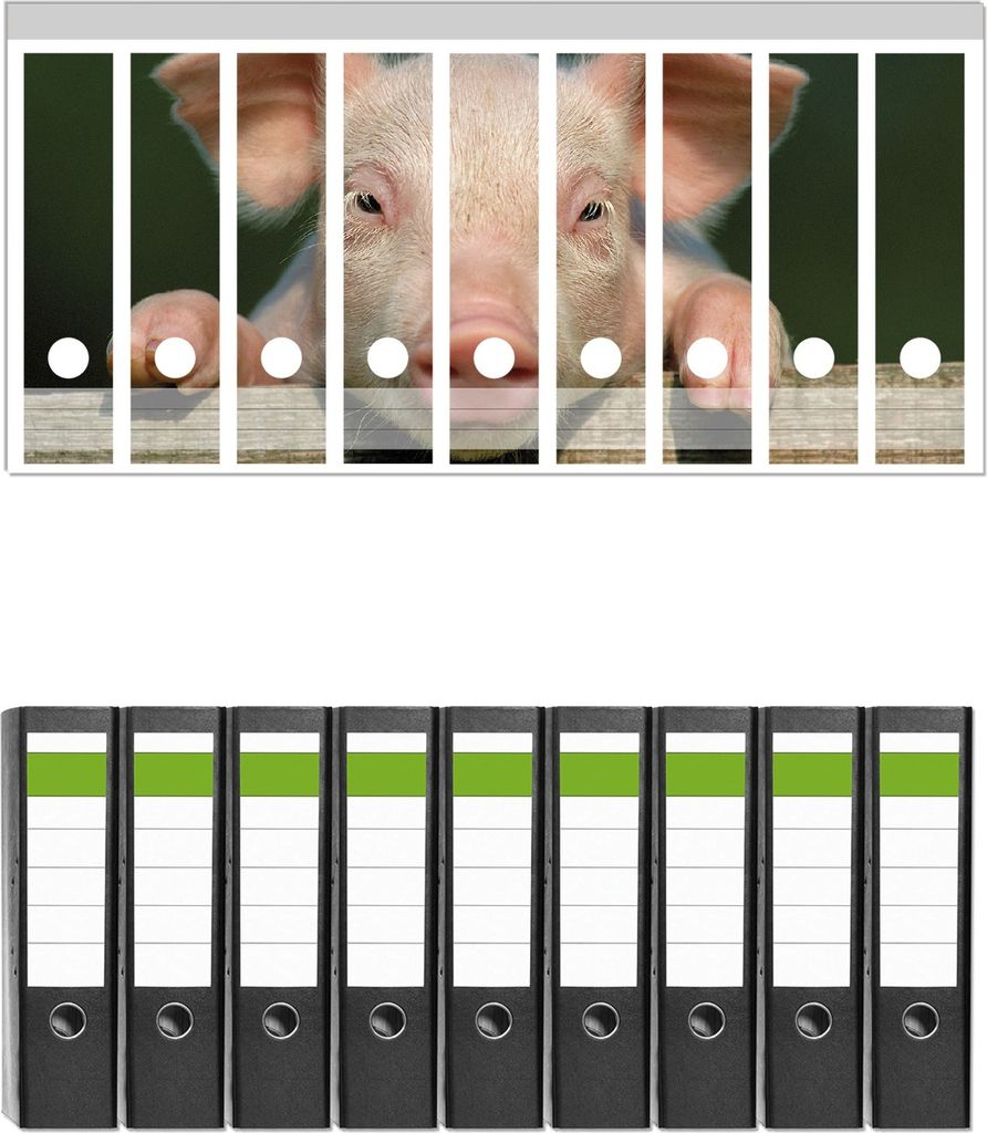 Wallario 9 Stück breite Ordner inkl. Klebeetiketten mit Motive Süßes Ferkel auf dem Bauernhof in Nahaufnahme - Set mit Rückenschildern / Ordner...