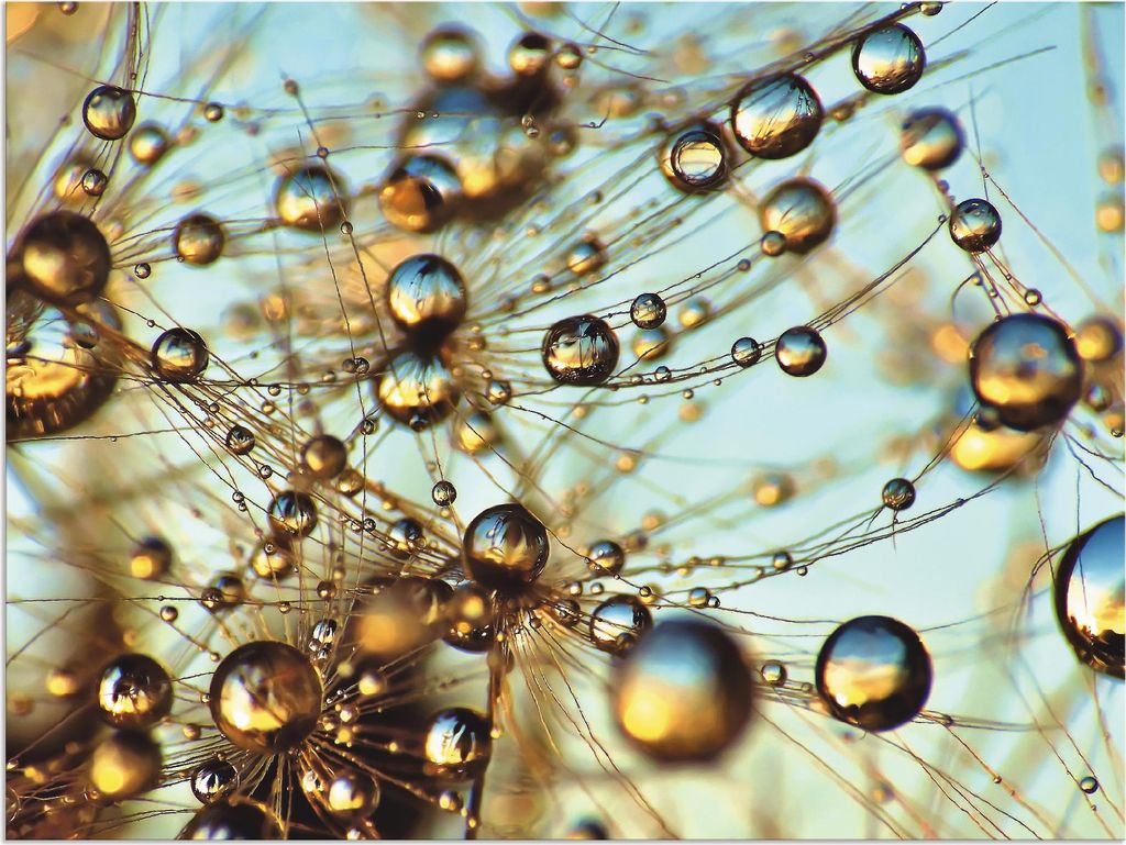 ARTland Wandbild Alu für Innen & Outdoor Pusteblume tausend Tropfen Größe: 40x30 cm