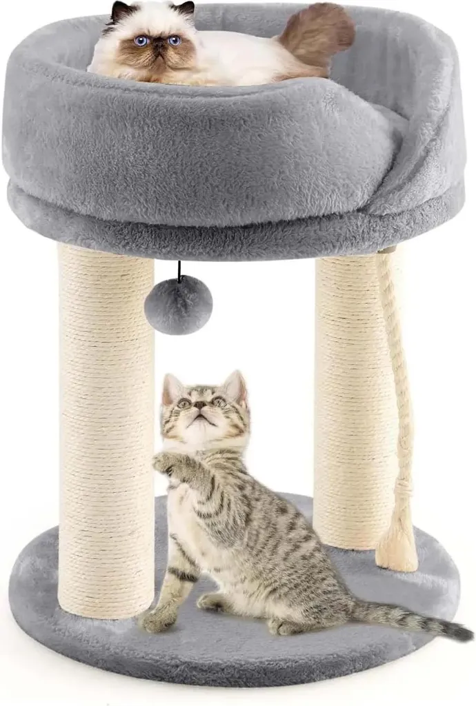 Arbre à chat anti-stress gris : protégez vos meubles avec le sisal