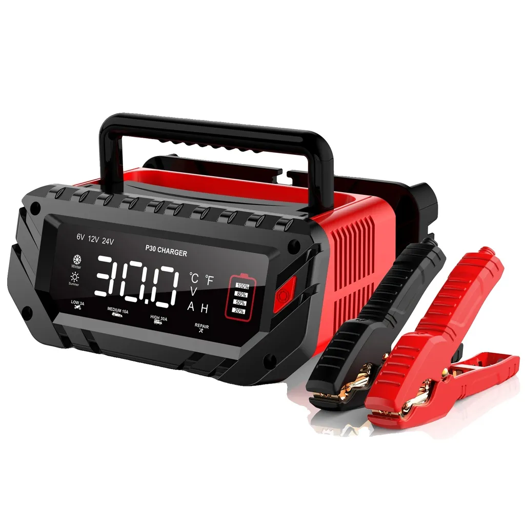 Caricatore Batteria Auto 6V-12V-24V 30A - Alta Potenza per Uso Intensivo