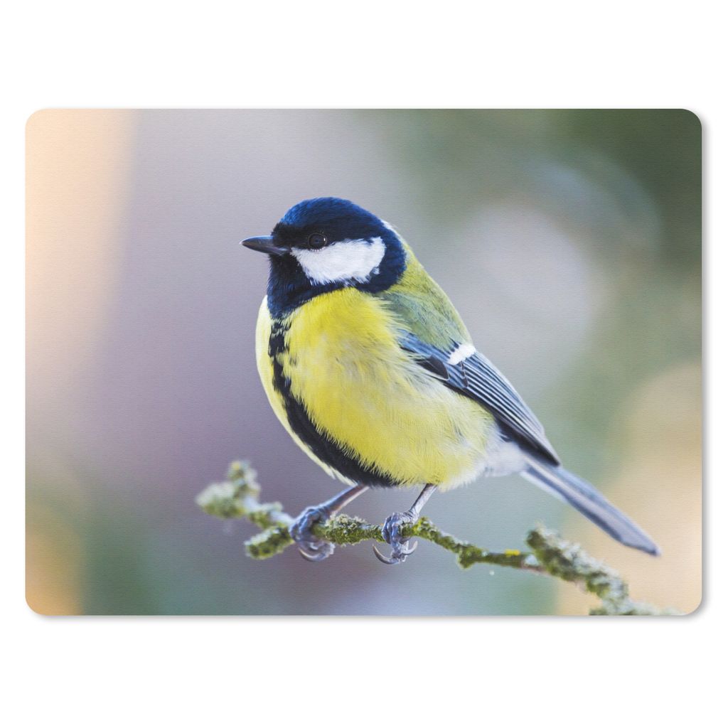 MuchoWow Mauspad Mousepad Kohlmeise - Vogel - Zweig 23x19 cm - Mousepads - Maus Mat - Pad - Mausunterlage - Schreibtischunterlage - Mauspad