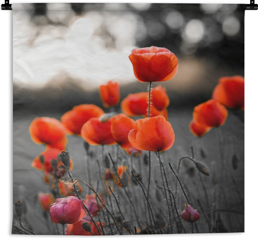 MuchoWow Wandteppich Wandbehang Rote Mohnblumen vor schwarzem und weißem Hintergrund 150x150 cm Tapisserie Dekoration Wandtuch - Wohnaccessoires...