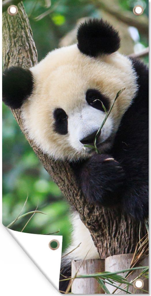 MuchoWow 40x80 cm Outdoor-Poster Gartendeko Sichtschutz Garten Poster für den Garten Panda - Welpe - Baum