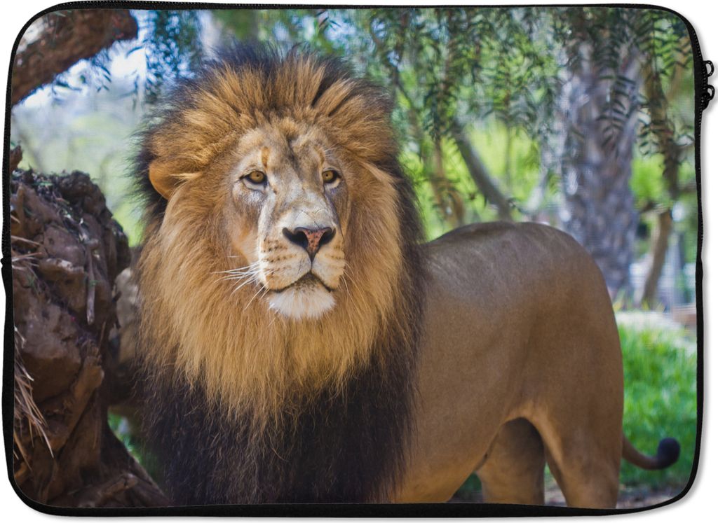 MuchoWow Laptop Hülle 14 ZollLöwe - Natur - Tier Laptoptasche - Laptoptasche - Stoßsicher - Schutzhaube