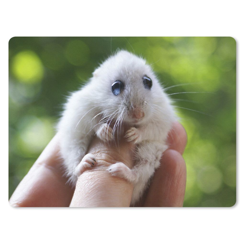 MuchoWow Mauspad Mousepad Hamster mit großen Augen, der sich festhält 40x30 cm - Mousepads - Maus Mat - Pad - Mausunterlage - Anti Rutsch