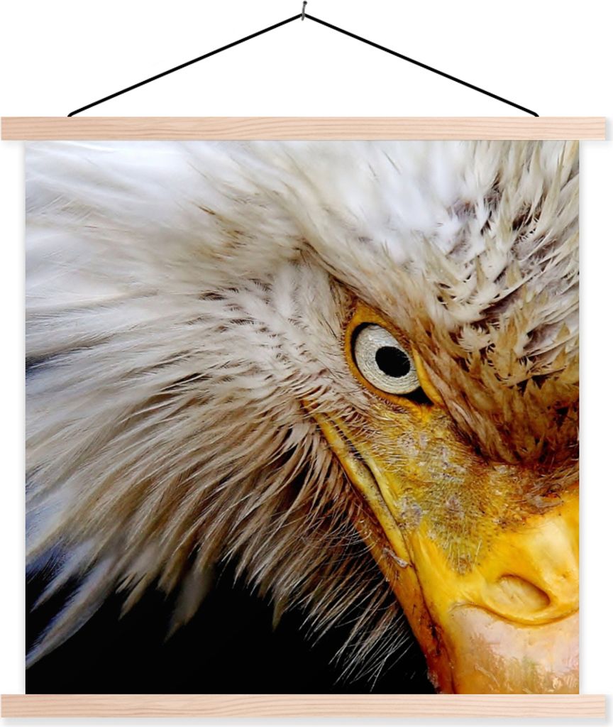 MuchoWow Textilposter Vogel - Auge - Schnabel 60x60 cm mit holzfarbenen Rahmen - Wanddekoration