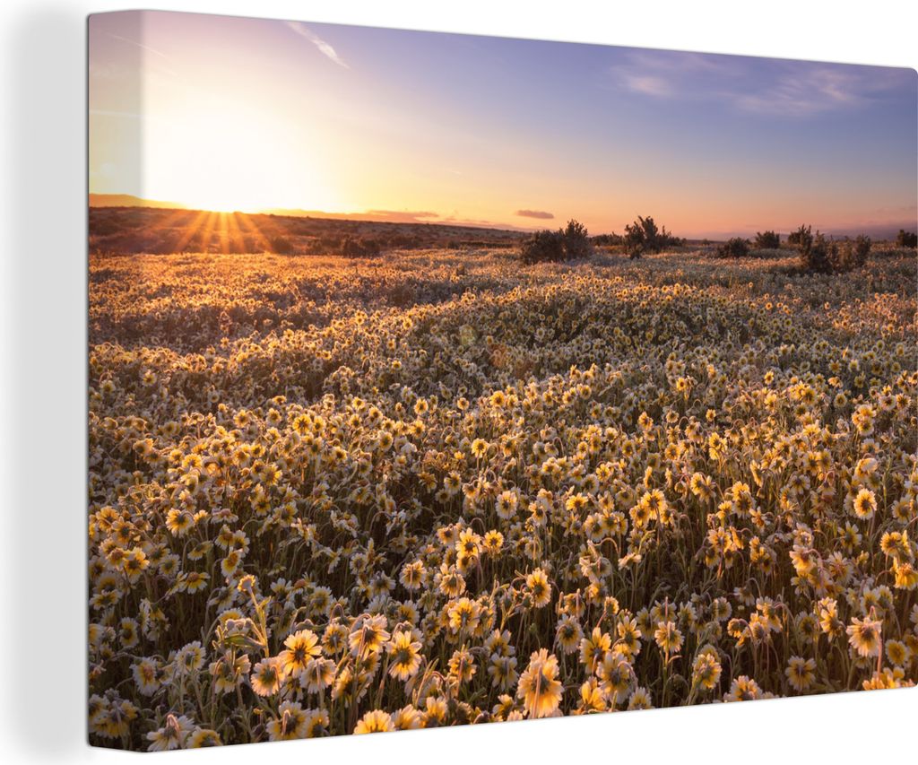 OneMillionCanvasses - Leinwandbilder - 140x90 cm, Blumen - Frühling - Sonnenuntergang, Wandbilder Kunstdruck Wanddekoration