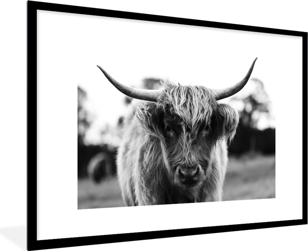 MuchoWow Gerahmtes Poster Schottischer Highlander - Kuh - Gras - Tiere - Natur 90x60 cm - Poster mit Schwarzem Bilderrahmen Wandposter Rahmen Fot...