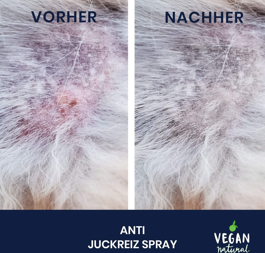 Pawlie's Juckreiz Spray für Hunde & Katzen, Mittel gegen Produktbild 4