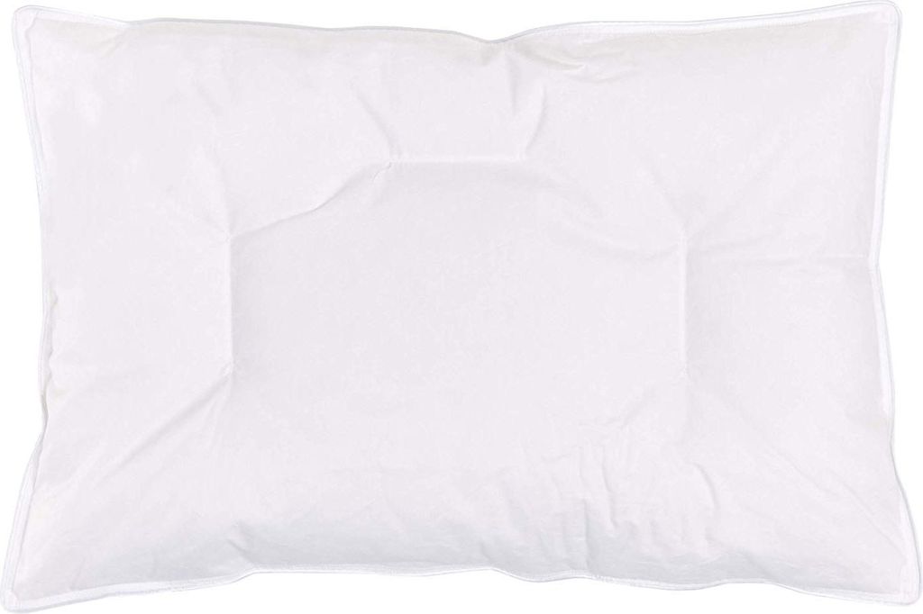 Träumeland T060553 Kissen Daunentraum, 40 x 60 cm,Weiß