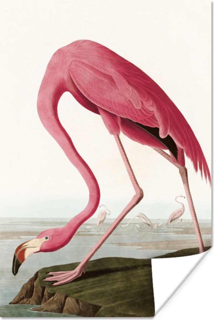 MuchoWow Poster Flamingo - Vogel - Vintage - Wasser - Rosa 20x30 cm - Papierdruck