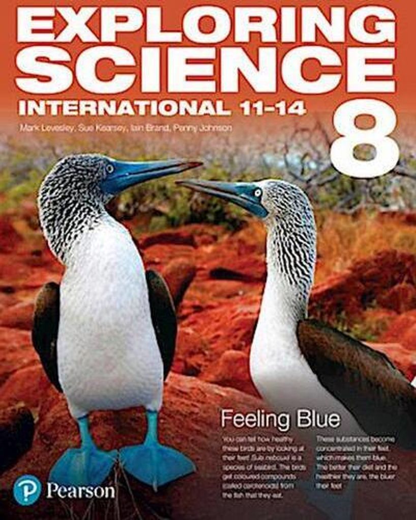 Exploring Science International Year 8 S – Lingua: Inglese Produktbild 