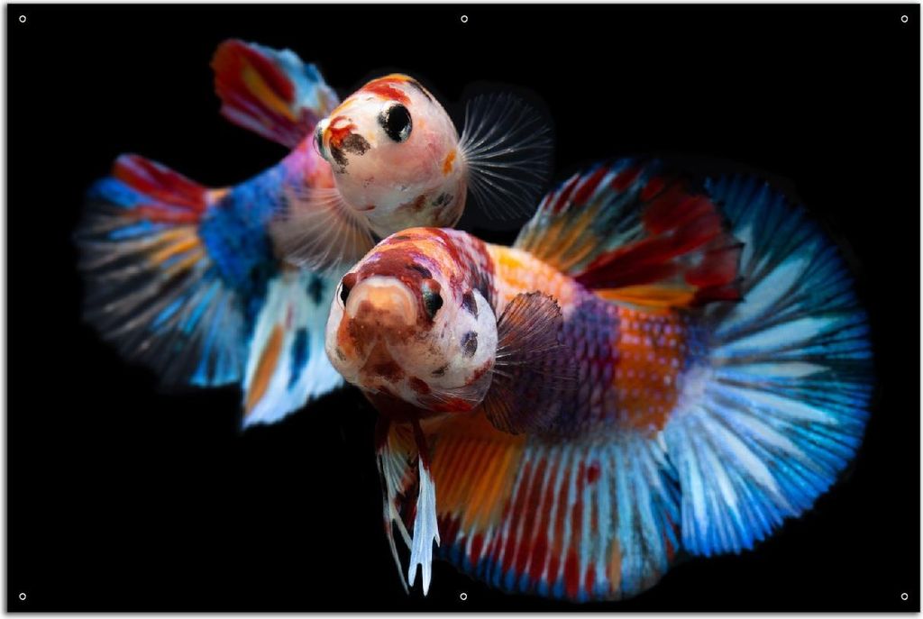 Wallario Outdoor-Poster für Garten oder Balkon, Motiv Tanz unter Wasser, in ca. 61 x 91,50 cm