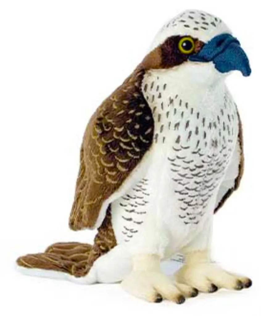 Peluche Pygargue à Queue Longue : Oiseau Doux sans Risque pour Bébé 25cm