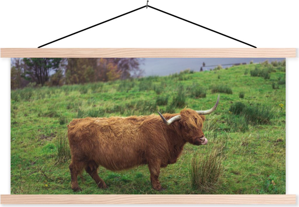 MuchoWow Textilposter Schottische Hochlandrind - Gras - Wasser - Tiere 60x30 cm mit holzfarbenen Rahmen - Dekoration