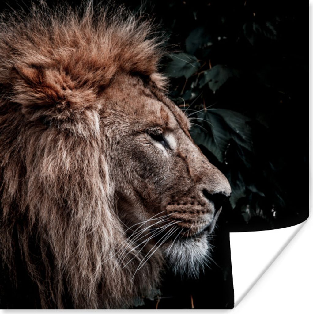 MuchoWow Poster Löwe - Blätter - Tiere 100x100 cm - Babyzimmer