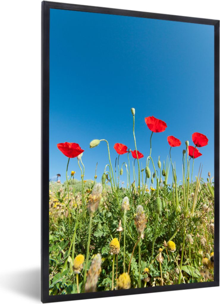 MuchoWow MuchoWow Gerahmtes Poster Rote Mohnblumen unter einem strahlend blauen Himmel in der Türkei 40x60 cm - Poster mit zchwarzem Bilderrah...