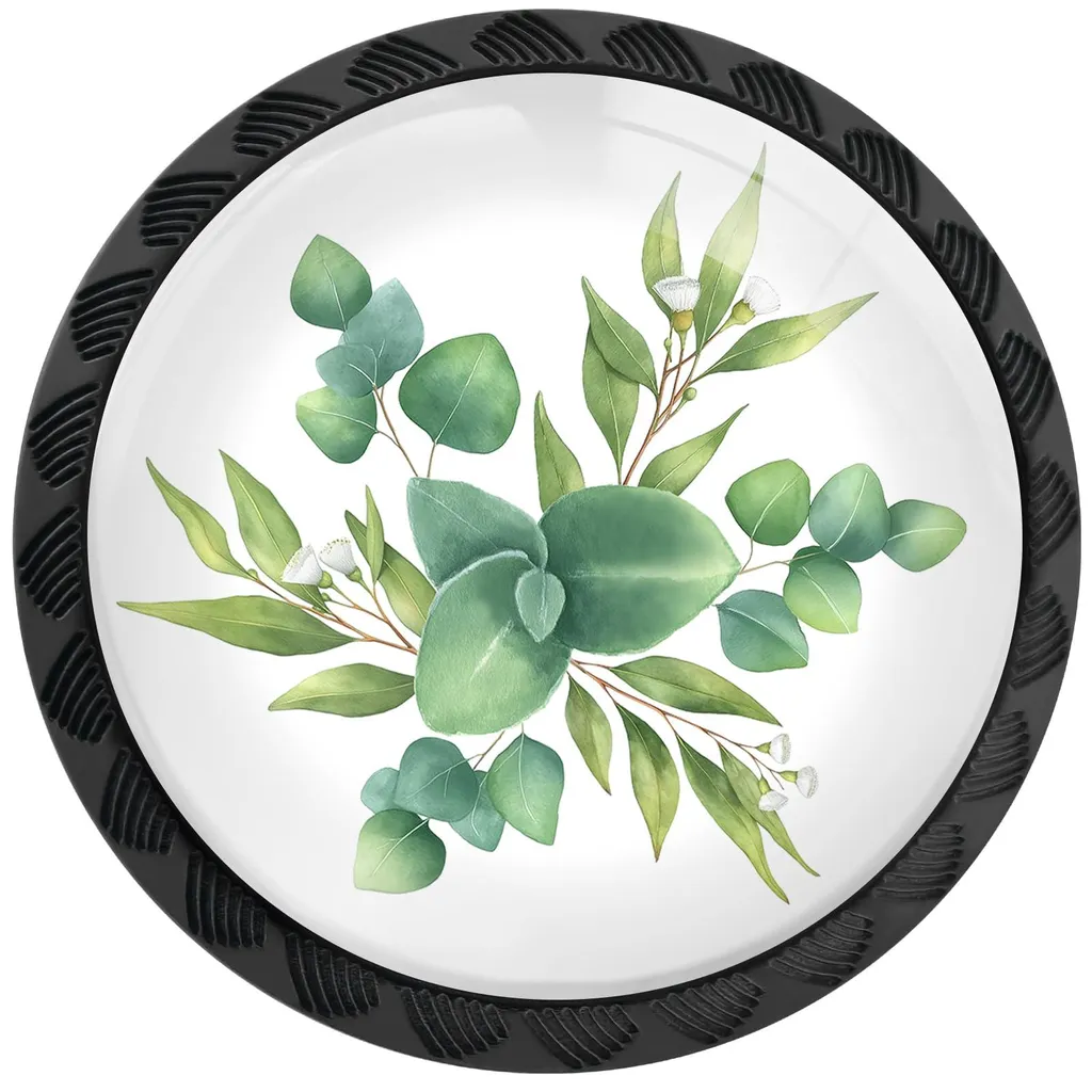 Boutons de commode eucalyptus aquarelle verte et noir, lot de 4 pièces