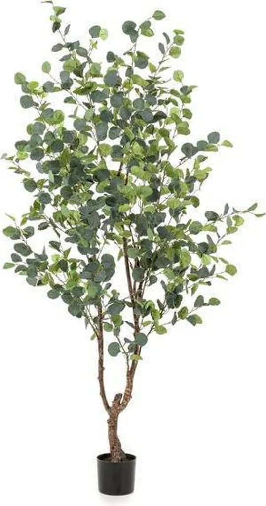 Grand eucalyptus artificiel 180 cm : déco végétale sans arrosage ni chute