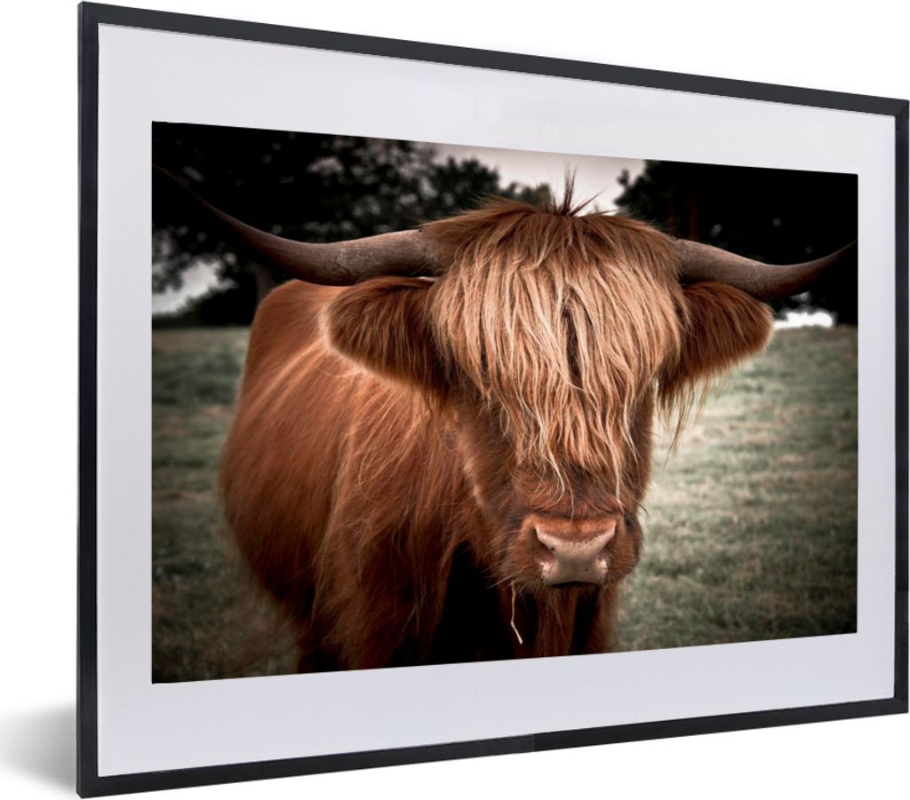 MuchoWow MuchoWow Gerahmtes Poster Schottisches Hochlandrind - Baum - Gras 60x40 cm - Poster mit zchwarzem Bilderrahmen - Schlafzimmer - Plakat...