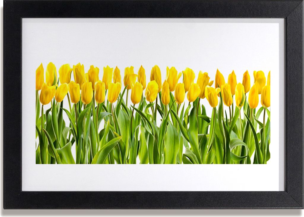 Bild 30x20 MDF-Rahmen Wandkunst Tulpen Blumen Natur