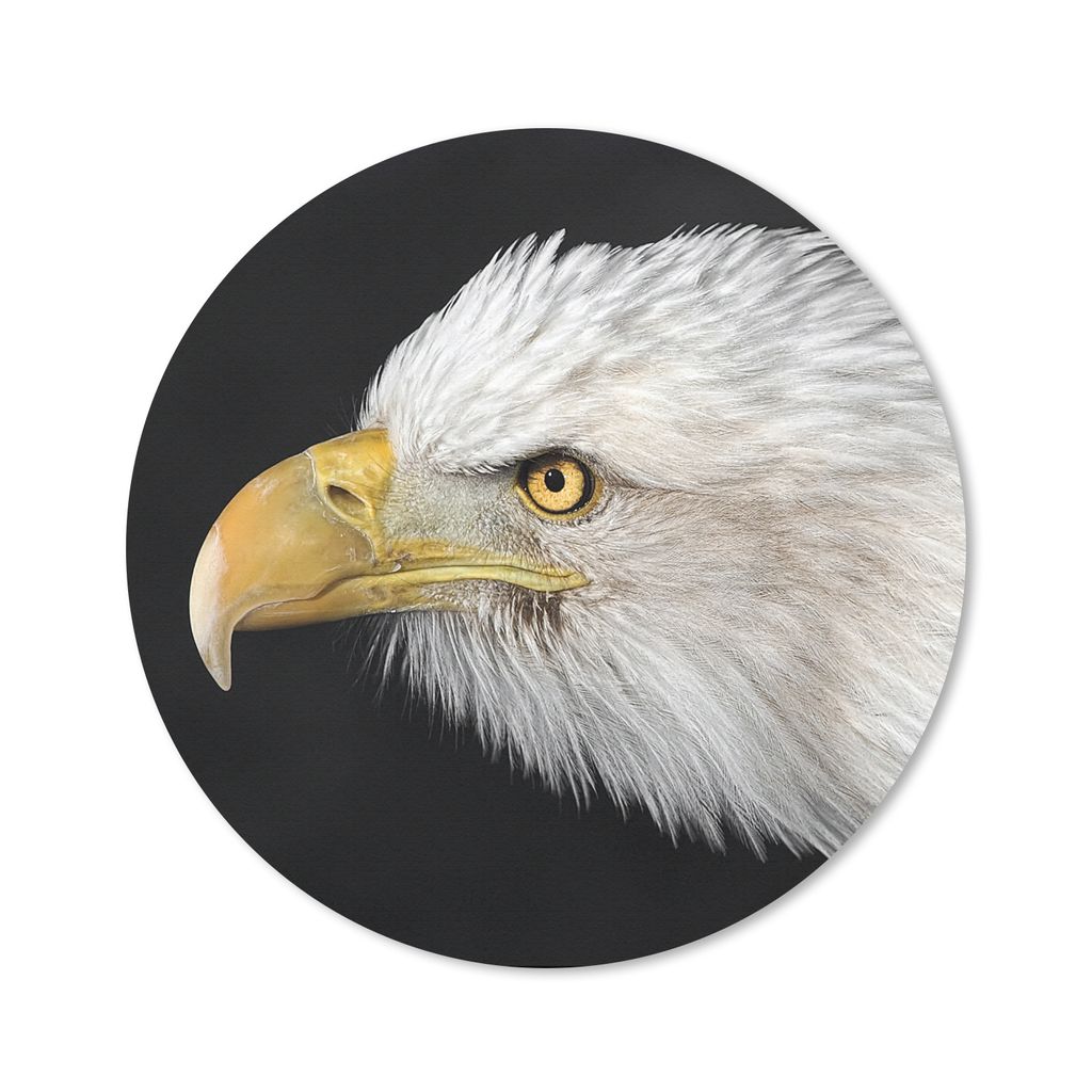 MuchoWow Mauspad Mousepad Adler - Vogel - Schnabel - Augen 40x40 cm - Mousepads - Maus Mat - Pad - Mausunterlage - Schreibtisch Accessoires