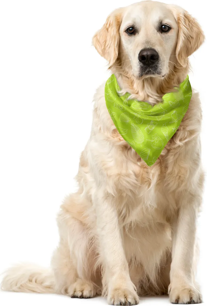 ABAKUHAUS Bandana estiva per animali domestici, elemento da spiaggia e vacanza, 40x40 cm, giallo, verde, bianco