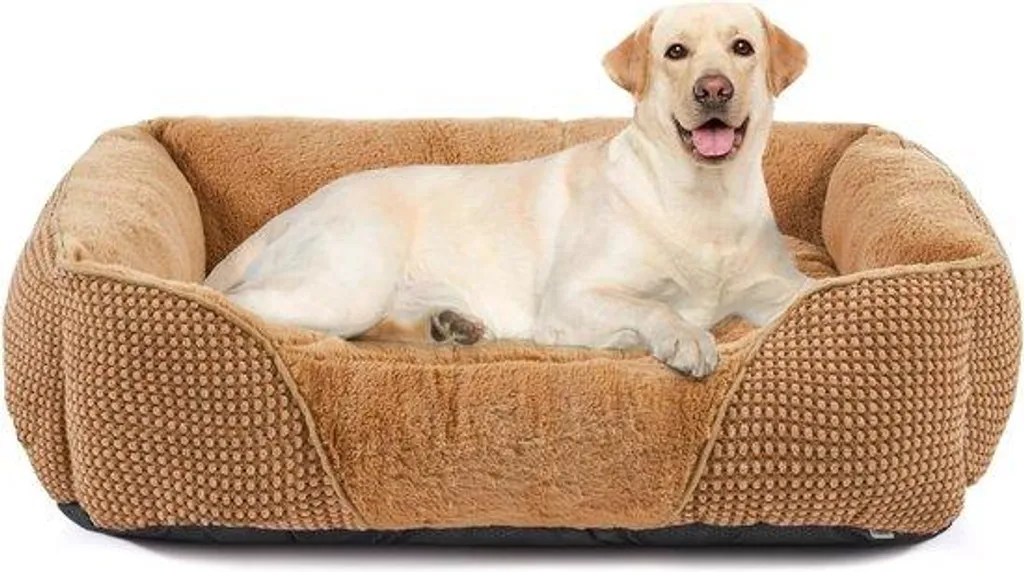 Couchage Moelleux pour Chien Moyen avec Bords Surélevés Beige Lavable