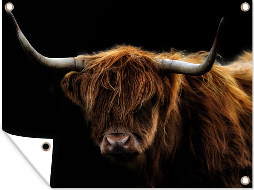 MuchoWow 120x90 cm Outdoor-Poster Gartendeko Sichtschutz Garten Poster für den Garten Schottischer Highlander - Hörner - Schwarz - Tiere - Natu...