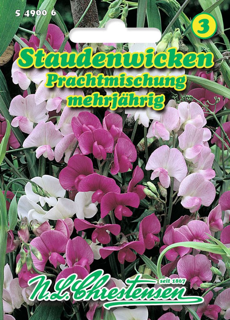 Staudenwicke PrachtMischung  | Wickensamen von N.L. Produktbild 
