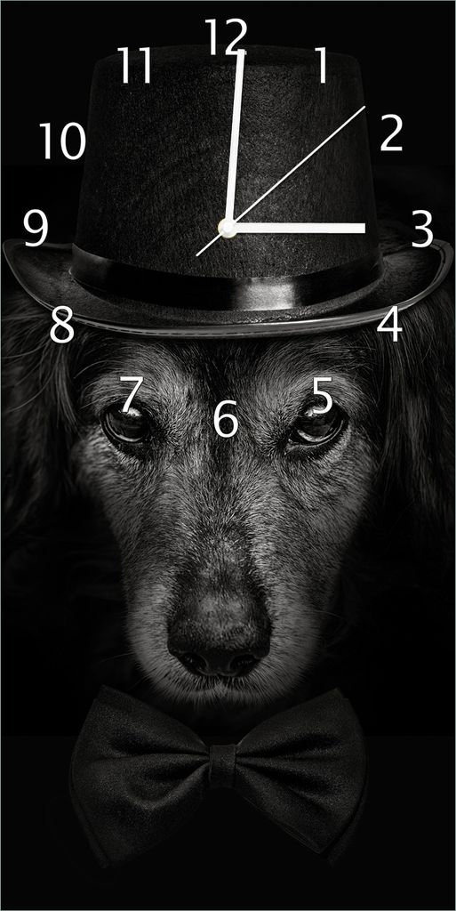 Wallario Design Wanduhr bedruckt, Größe 30 x 60 cm, Motiv: Eleganter Hund mit Zylinder in schwarz-weiß