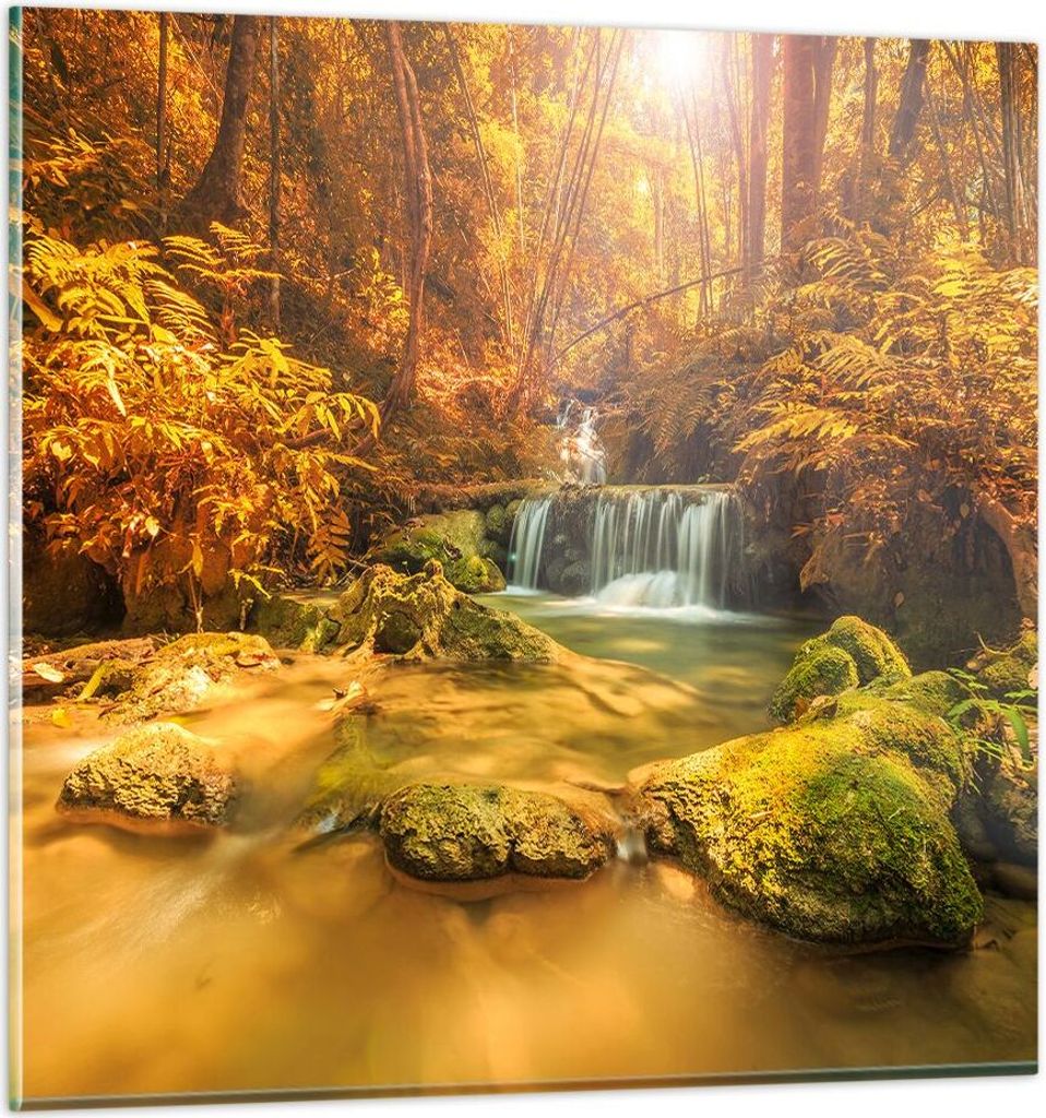 Bilder auf glas - Wald Bach Tropen Natur - 70x70cm - Glasbilder - Wandbilder - Kunstdruck - zum Aufhängen bereit - Wanddekoration aus Glas - Glas ...