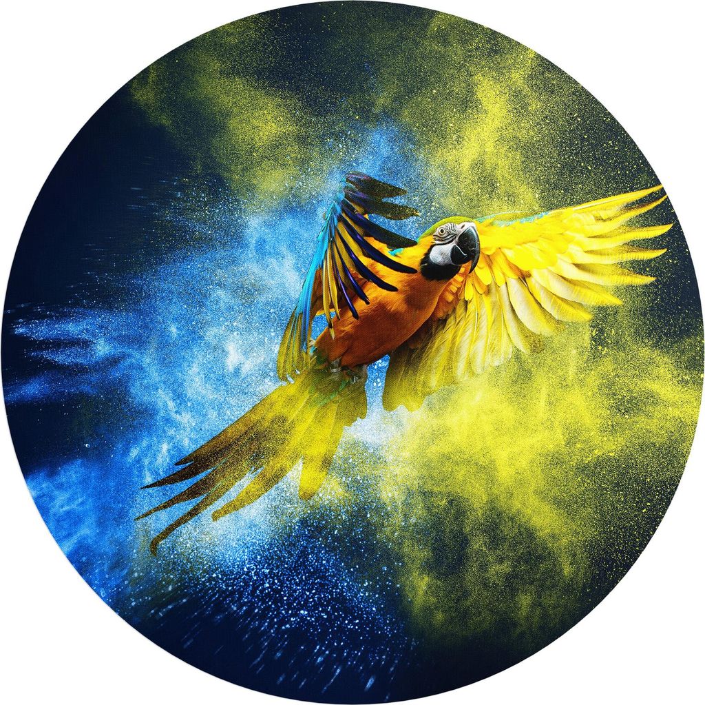 DEQORI Fototapete rund Ø 120 cm 'Papagei in Farbwolke' Wand Tapete Leinwand Sticker