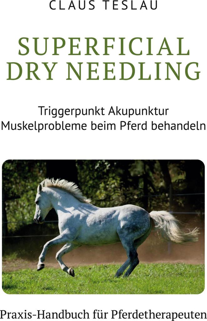 Superficial Dry Needling