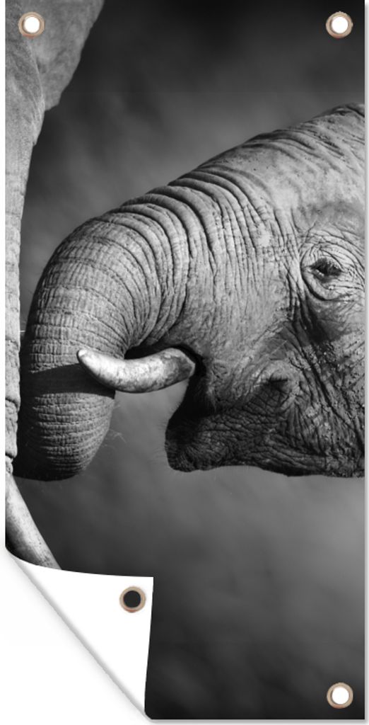 MuchoWow 80x160 cm Outdoor-Poster Gartendeko Sichtschutz Garten Poster für den Garten Wildtiere - Elefant - Schwarz - Weiß - Porträt