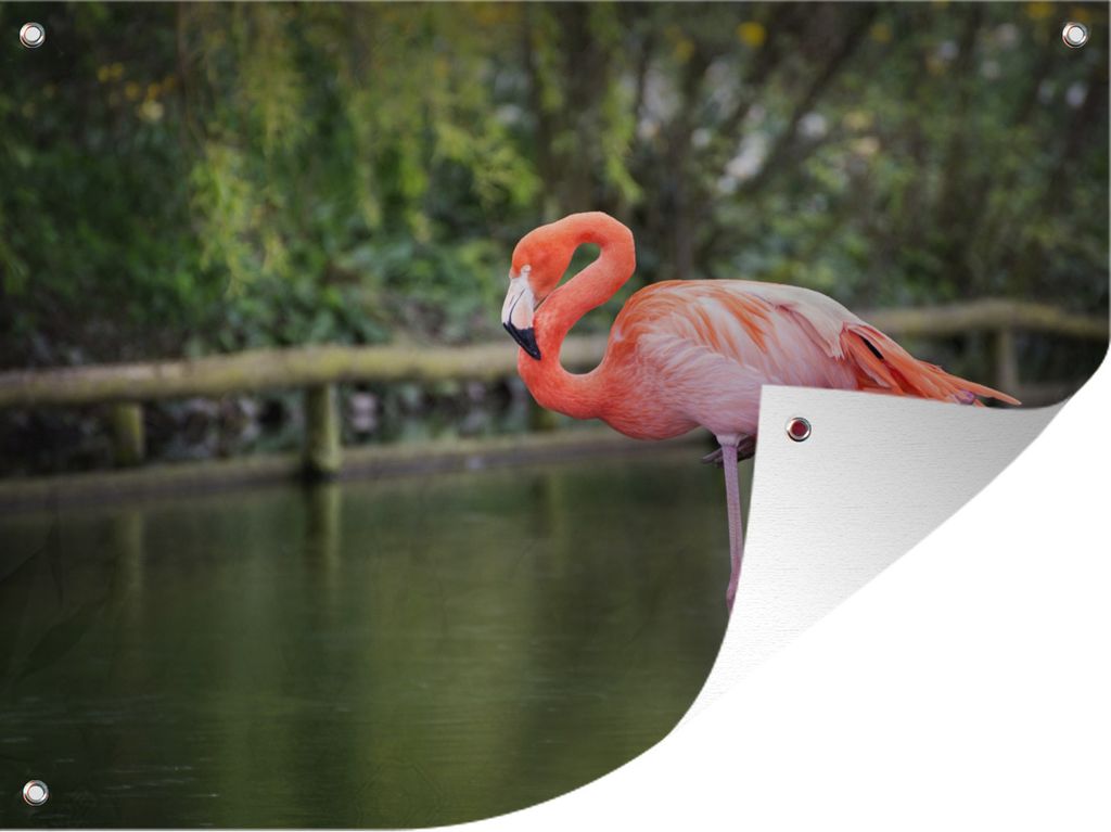 MuchoWow 80x60 cm Outdoor-Poster Gartendeko Sichtschutz Garten Poster für den Garten Ein Flamingo steht auf einem Bein im Wasser