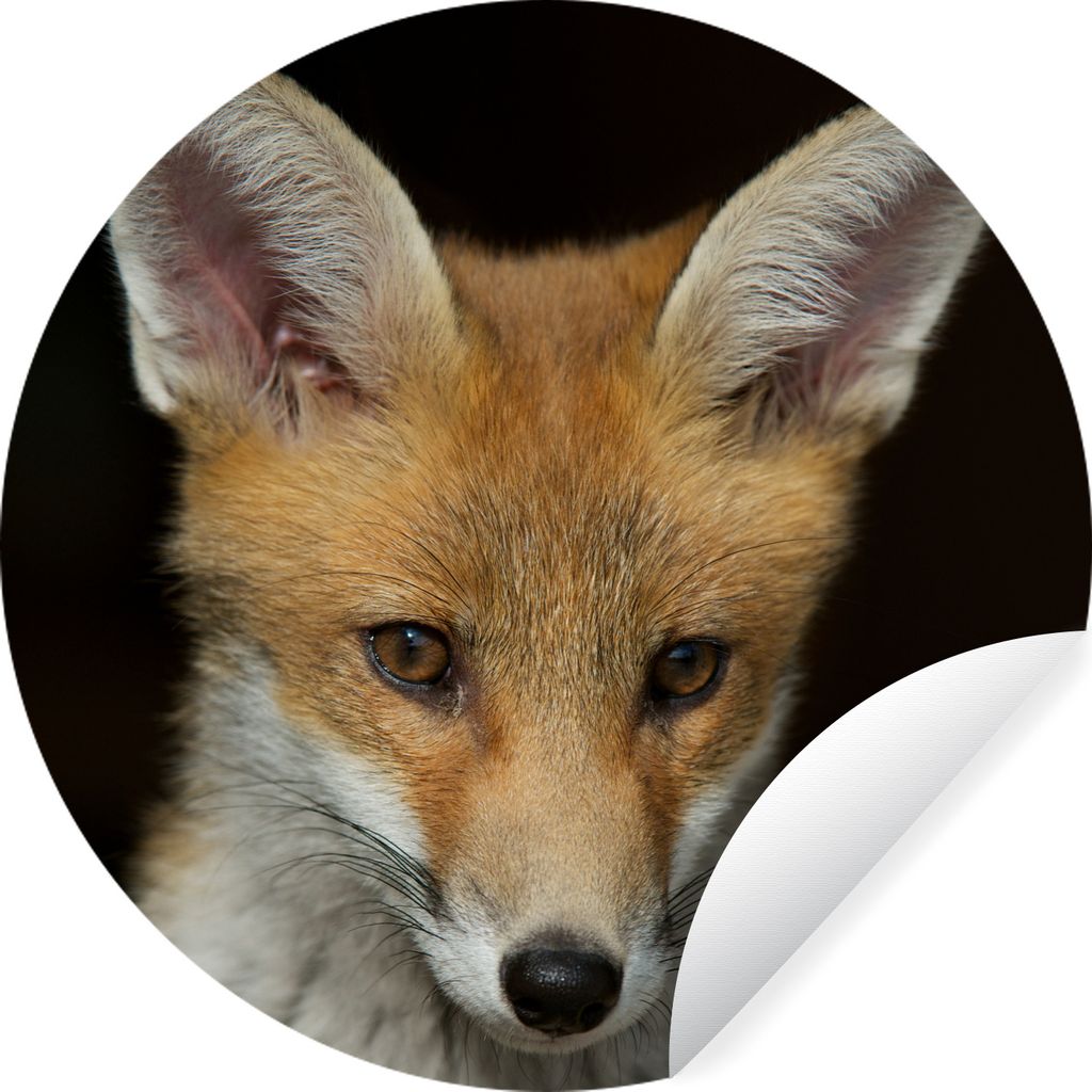MuchoWow Runde Wandtattoo - Wandsticker Tapete Aufkleber Fuchs - Porträt - Schwarz Ø 100 cm Selbstklebend und Repositionierbar - Wandaufkleber ...