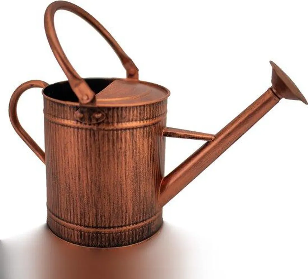 Arrosoir anti-fuite en métal galvanisé 3,8L, bec amovible et durable