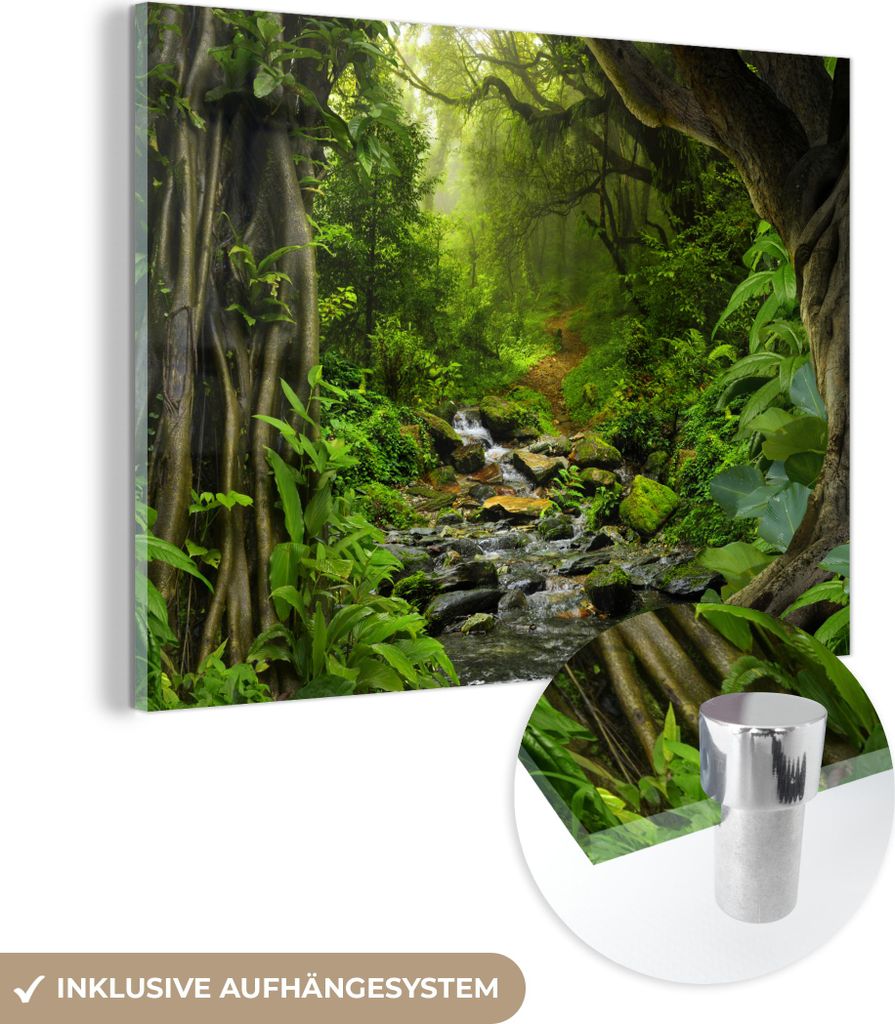 MuchoWow Glasbilder - Bilder auf Wandbild - Foto auf Glas Natur - Wasser - Dschungel - Wald - Tropisch 40x30 cm Wanddekoration aus Glas - Acrylglas...