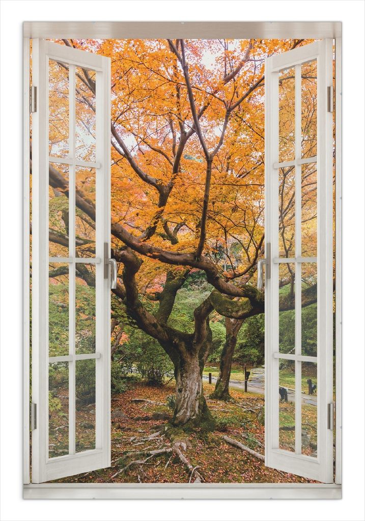 Wallario Wandbild mit Fenster-Illusion: Gelber Ahornbaum im Herbst in Japan, Größe: 61 x 91,5 cm, Poster mit rahmenlosen Bildhalter