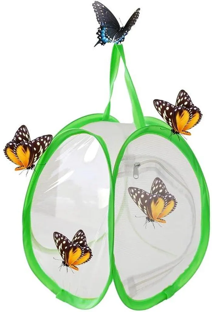 Boîte verte papillon : optimisez vos petits espaces encombrés x2
