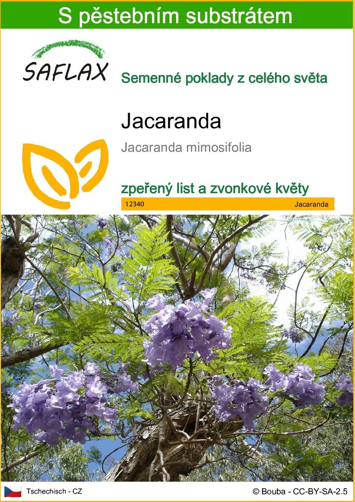 SAFLAX - jacaranda - Jacaranda mimosifolia - 50 Semena - S Obrázek produktu 